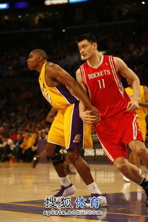 火箭vs湖人09季后赛姚明数据（nba09赛季火箭vs湖人）