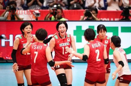 中国女排和日本的直播（女排直播中国对日本）