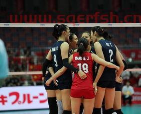 中国女排胜荷兰集锦赛视频（中国女排对战荷兰视频回放）