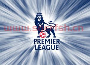 新赛季英超中国转播权归谁（20212022赛季英超国内转播权）